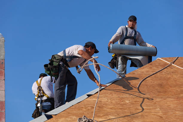 Best Roof Repair Estimates  in Warren, MN