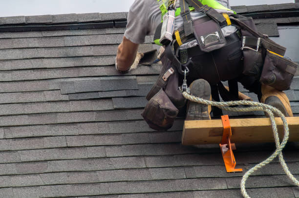 Quick and Trustworthy Emergency Roof Repair Services in Warren, MN